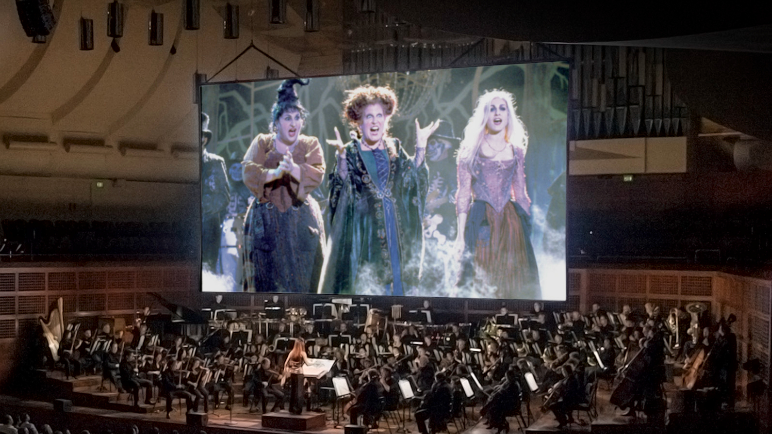Audience at a Hocus Pocus concert